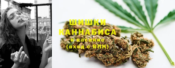 стафф Краснослободск