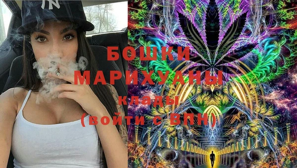 молекула духа Кулебаки