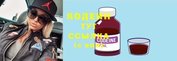 молекула духа Кулебаки