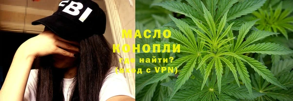 молекула духа Кулебаки