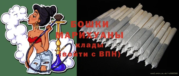 молекула духа Кулебаки