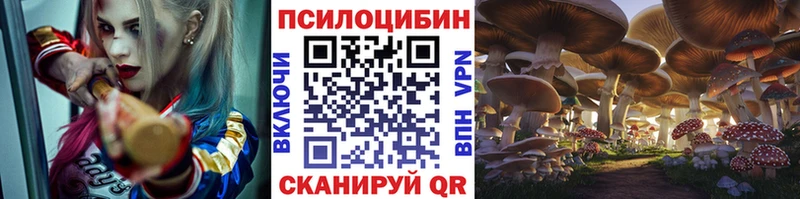 Купить закладки  Королёв  Галлюциногенные грибы мухоморы 